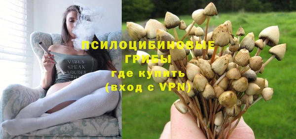 герыч Ступино