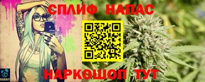 шишки Кимры