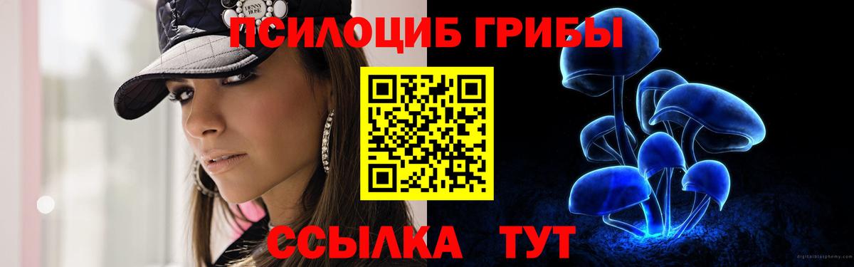 Хабаровск  Псилоцибиновые грибы Cubensis  Вход с VPN  Псилоцибиновые грибы Psilocybine cubensis 